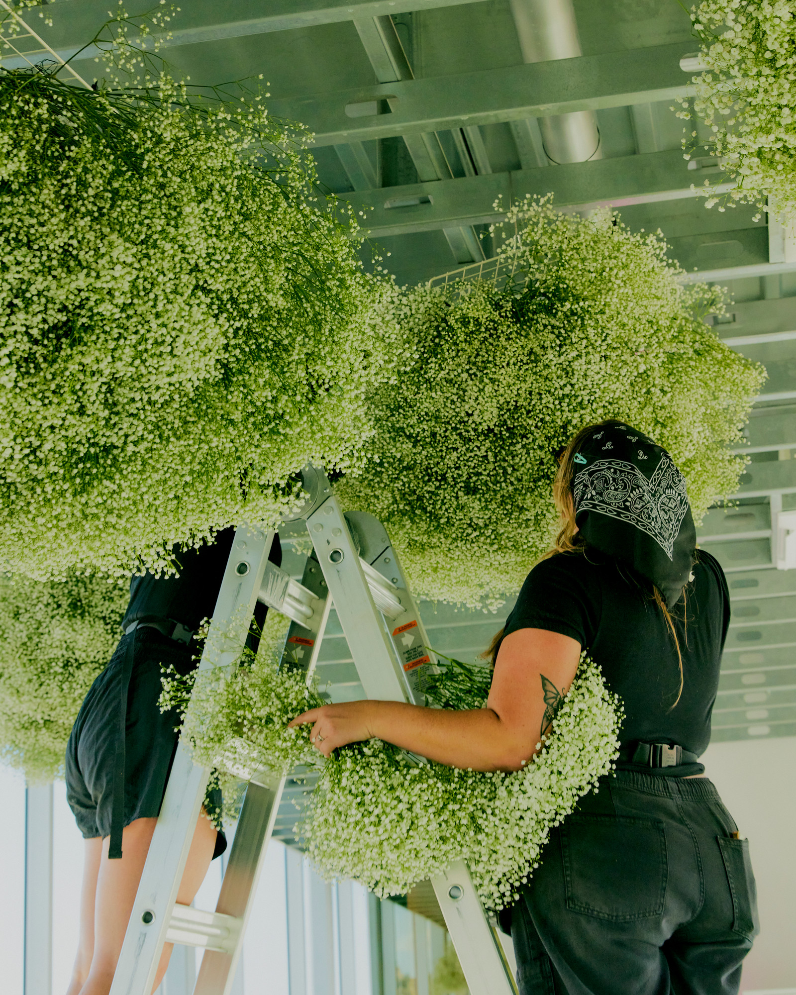 Suspended baby's-breath cloud installation by Still Carnations